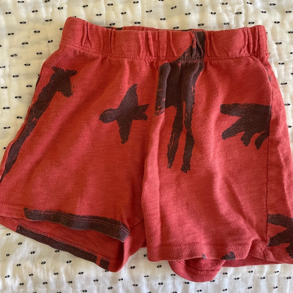 Zara Coral and Brown Knit Shorts